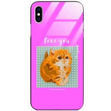 Etui Apple IPHONE X / XS, ST_FCG_2020-1_181 Wzory - FunnyCase