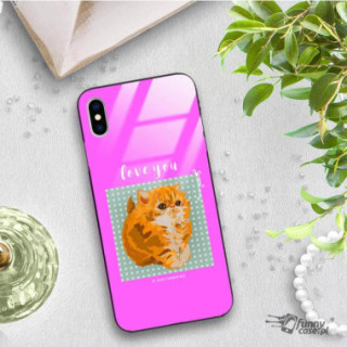 Etui Apple IPHONE X / XS, ST_FCG_2020-1_181 Wzory - FunnyCase