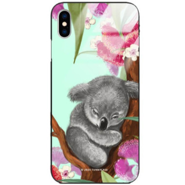 Etui Apple IPHONE X / XS, ST_FCG_2020-1_184 Wzory - FunnyCase