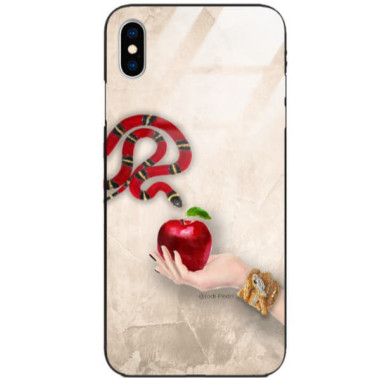 Etui Apple IPHONE X / XS, ST_FCG_2020-1_204 Wzory - FunnyCase