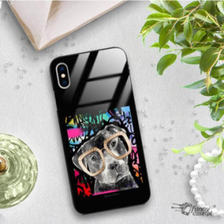 Etui Apple IPHONE X / XS, ST_FCG_2020-1_206 Wzory - FunnyCase