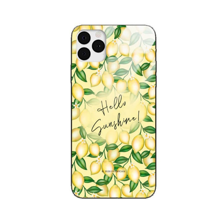 Etui Apple IPHONE 11 PRO, ST_FCG_2020-1_390 Wzory - FunnyCase