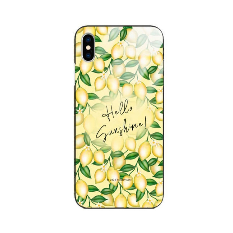 Etui Apple IPHONE X / XS, ST_FCG_2020-1_390 Wzory - FunnyCase