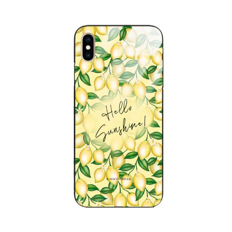 Etui Apple IPHONE XS MAX, ST_FCG_2020-1_390 Wzory - FunnyCase