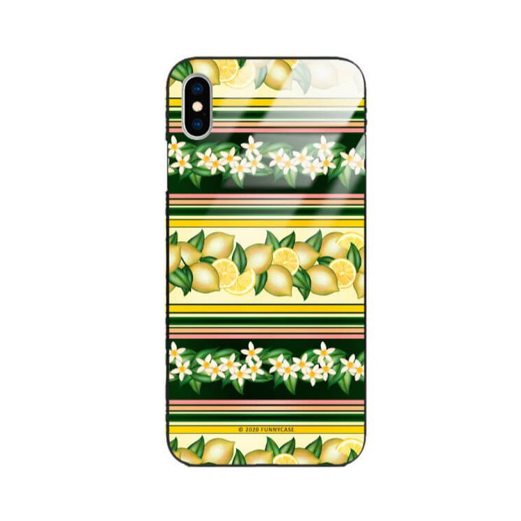 Etui Apple IPHONE X / XS, ST_FCG_2020-1_391 Wzory - FunnyCase