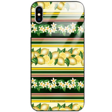 Etui Apple IPHONE X / XS, ST_FCG_2020-1_391 Wzory - FunnyCase