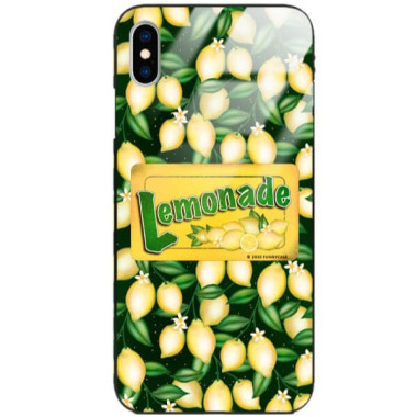 Etui Apple IPHONE X / XS, ST_FCG_2020-1_392 Wzory - FunnyCase