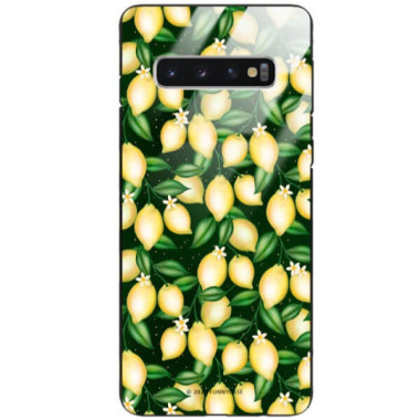 Etui Samsung GALAXY S10, ST_FCG_2020-1_394 Wzory - FunnyCase