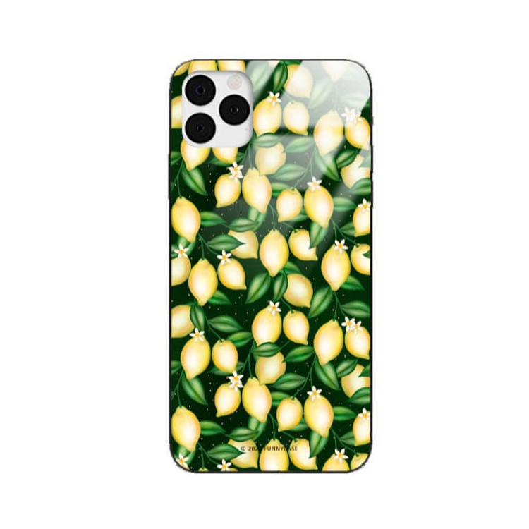 Etui Apple IPHONE 11 PRO, ST_FCG_2020-1_394 Wzory - FunnyCase