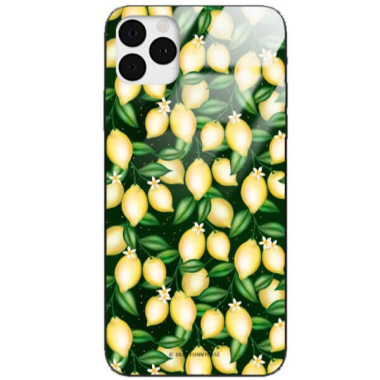 Etui Apple IPHONE 11 PRO, ST_FCG_2020-1_394 Wzory - FunnyCase