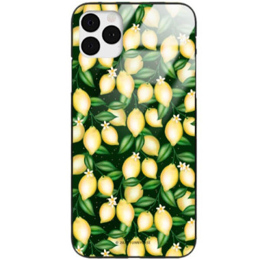 Etui Apple IPHONE 11 PRO MAX, ST_FCG_2020-1_394 Wzory - FunnyCase