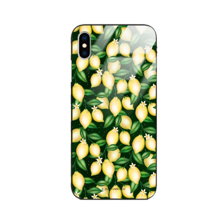 Etui Apple IPHONE X / XS, ST_FCG_2020-1_394 Wzory - FunnyCase