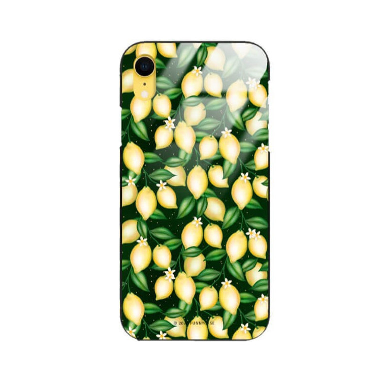 Etui Apple IPHONE XR, ST_FCG_2020-1_394 Wzory - FunnyCase