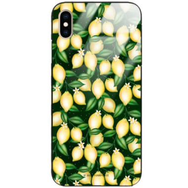 Etui Apple IPHONE XS MAX, ST_FCG_2020-1_394 Wzory - FunnyCase