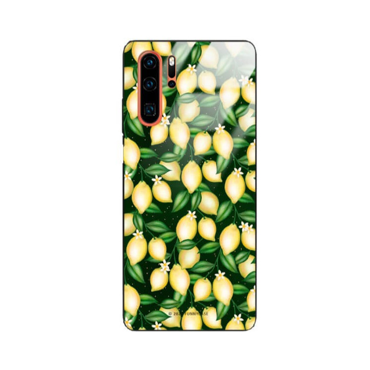 Etui Huawei P30 PRO, ST_FCG_2020-1_394 Wzory - FunnyCase