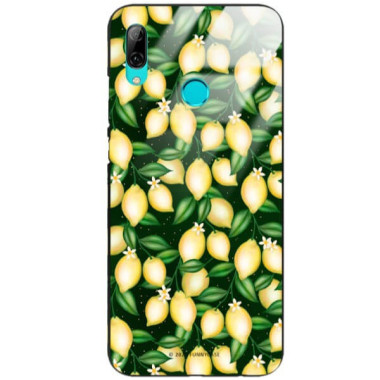 Etui Huawei Y7 2019, ST_FCG_2020-1_394 Wzory - FunnyCase