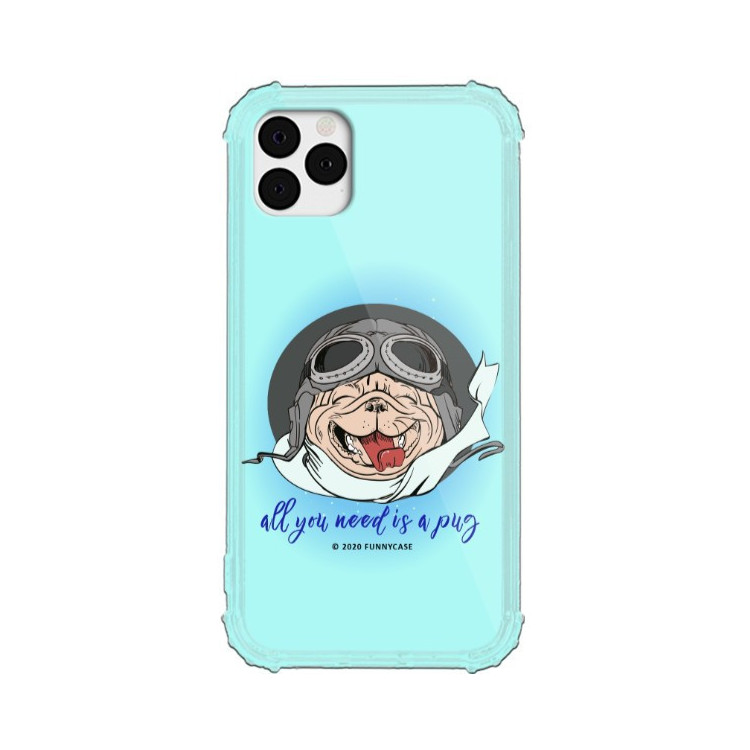 Etui Apple IPHONE 11 PRO, ST_SZN-2020-1-101 Wzory - FunnyCase