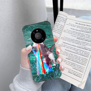 Etui Huawei Mate 40 Pro,ST_CR Wzór-FunnyCase