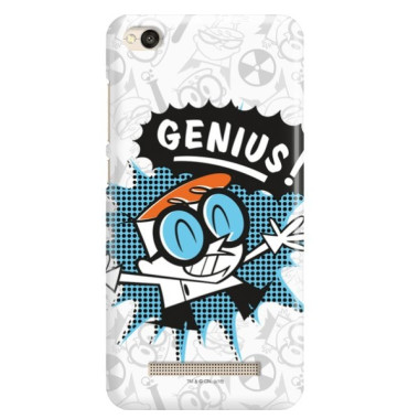 ETUI NA TELEFON XIAOMI REDMI 4A CARTOON NETWORK DX105 CLASSIC LABORATORIUM DEXTERA