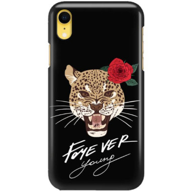 Etui Apple IPHONE XR, ST_FCW133 Wzory - FunnyCase