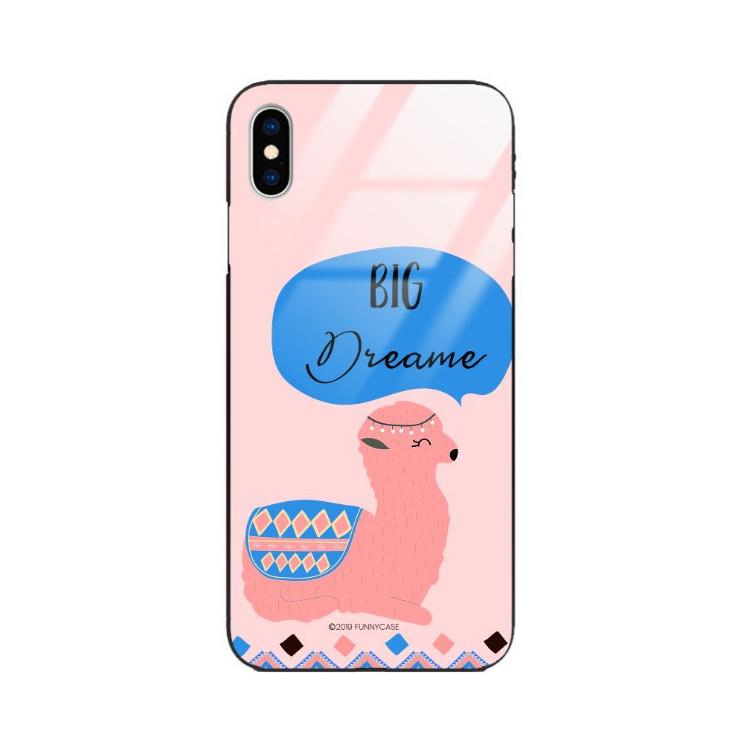 Etui Apple IPHONE X / XS, ST_ALP110 Wzory - FunnyCase