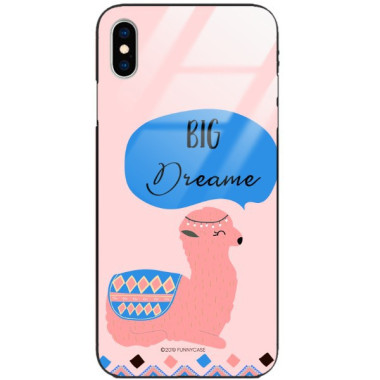 Etui Apple IPHONE X / XS, ST_ALP110 Wzory - FunnyCase