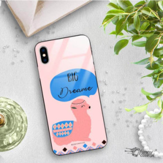 Etui Apple IPHONE X / XS, ST_ALP110 Wzory - FunnyCase