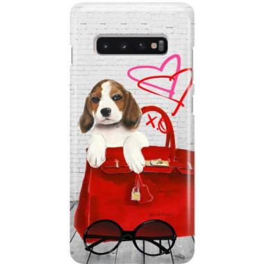 Etui Samsung GALAXY S10 PLUS, Etui Jodi Pedri Transparentny - FunnyCase