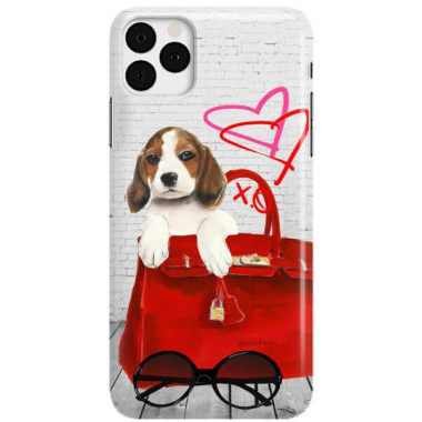 Etui Apple IPHONE 11 PRO, Etui Jodi Pedri Transparentny - FunnyCase