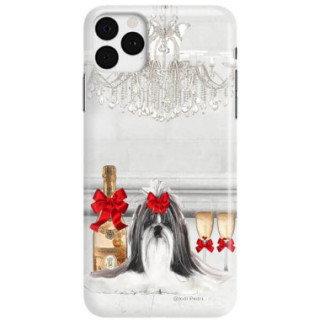 Etui Apple IPHONE 11 PRO MAX, Etui Jodi Pedri Transparentny - FunnyCase