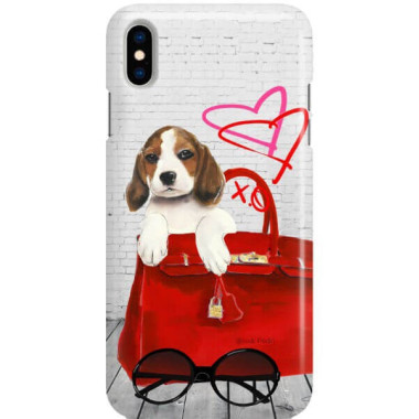 Etui Apple IPHONE X / XS, Etui Jodi Pedri Transparentny - FunnyCase