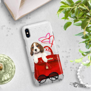 Etui Apple IPHONE X / XS, Etui Jodi Pedri Transparentny - FunnyCase