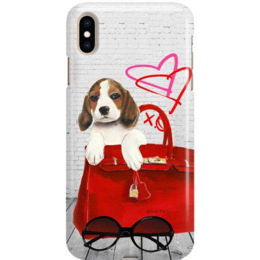 Etui Apple IPHONE XS MAX, Etui Jodi Pedri Transparentny - FunnyCase