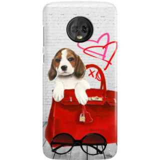 Etui Motorola MOTO G6, Etui Jodi Pedri Transparentny - FunnyCase