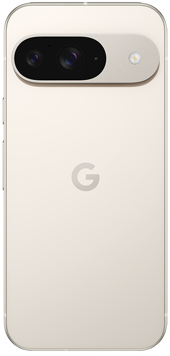 Etui na telefon GOOGLE PIXEL 10